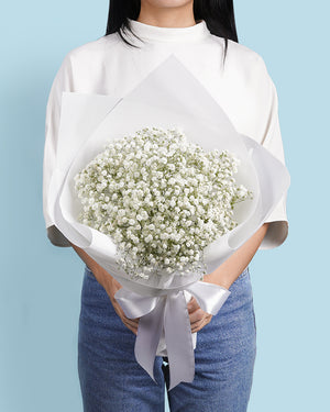 Baby Breath 1