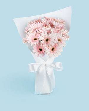 Gerberas 2